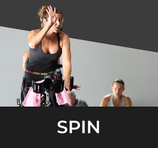 SPIN